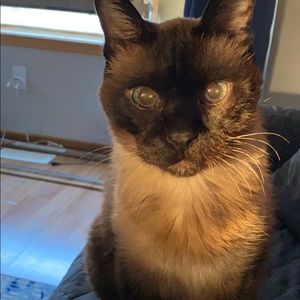 Meet your Posher, Sharon